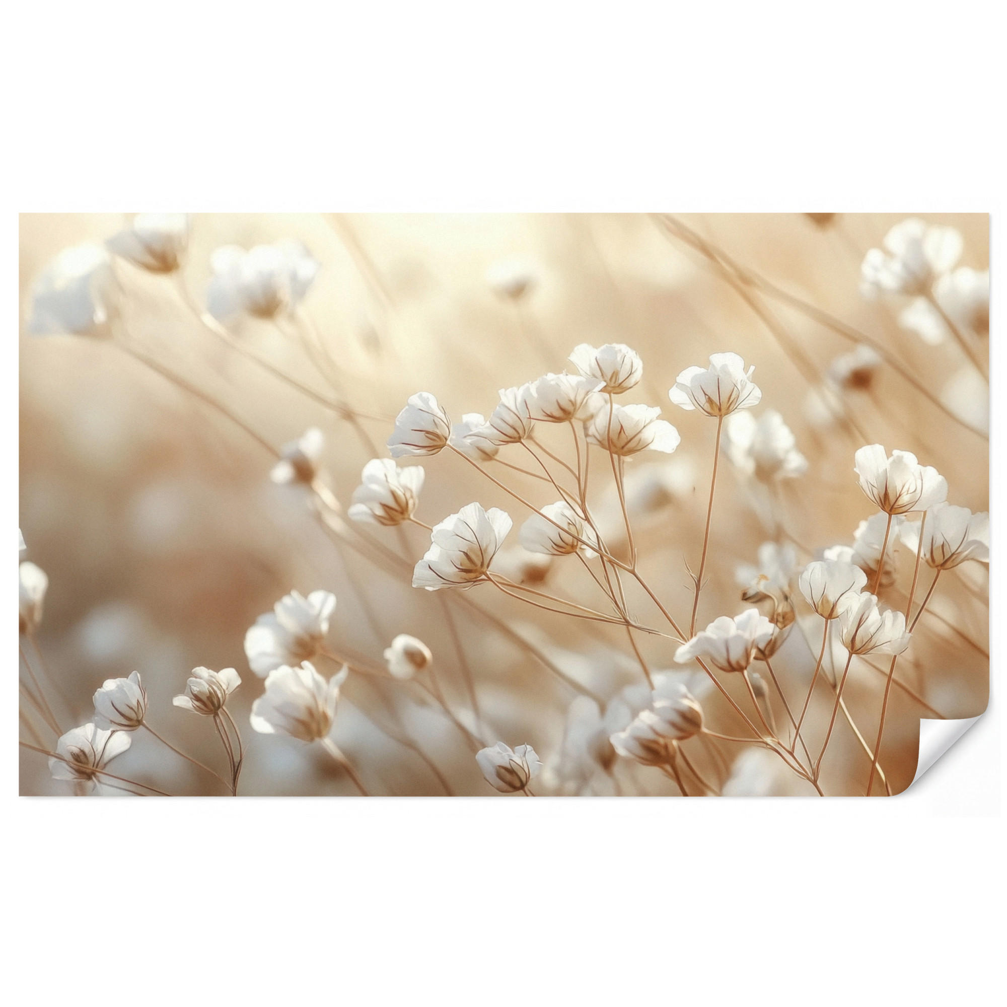 OnlyWow Tapete Creme 450x280 cm