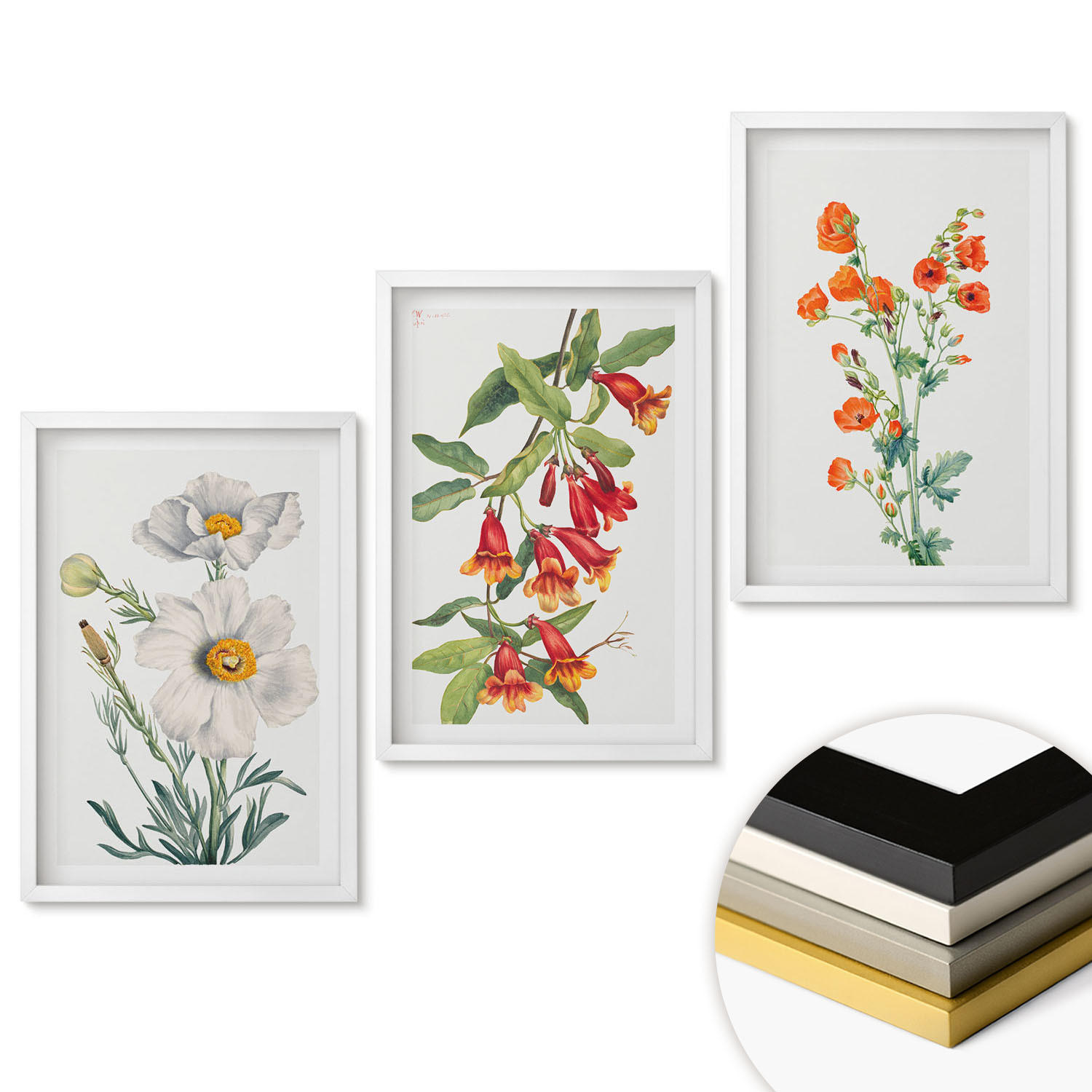 WANDBILDER 3er-Set - 40x60 cm Weißer Rahmen - Retro-Blumenarrangements - Weiß, Kunststoff (40/60cm) - ArtPrintCave