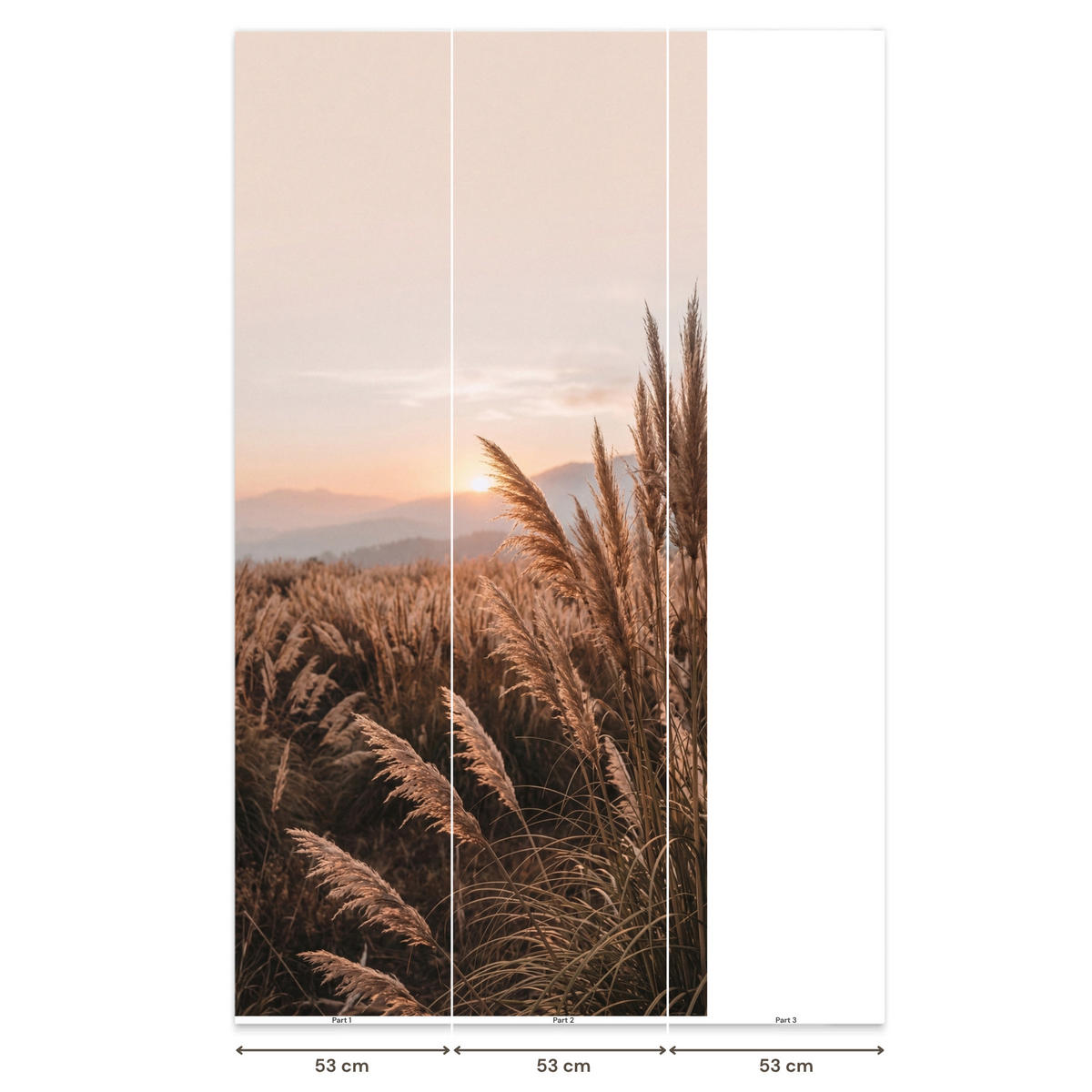 TAPETE - Gras - Feld - Sonne - Natur - 120x240 cm - Sandfarben, Papier (120/240cm) - OnlyWow