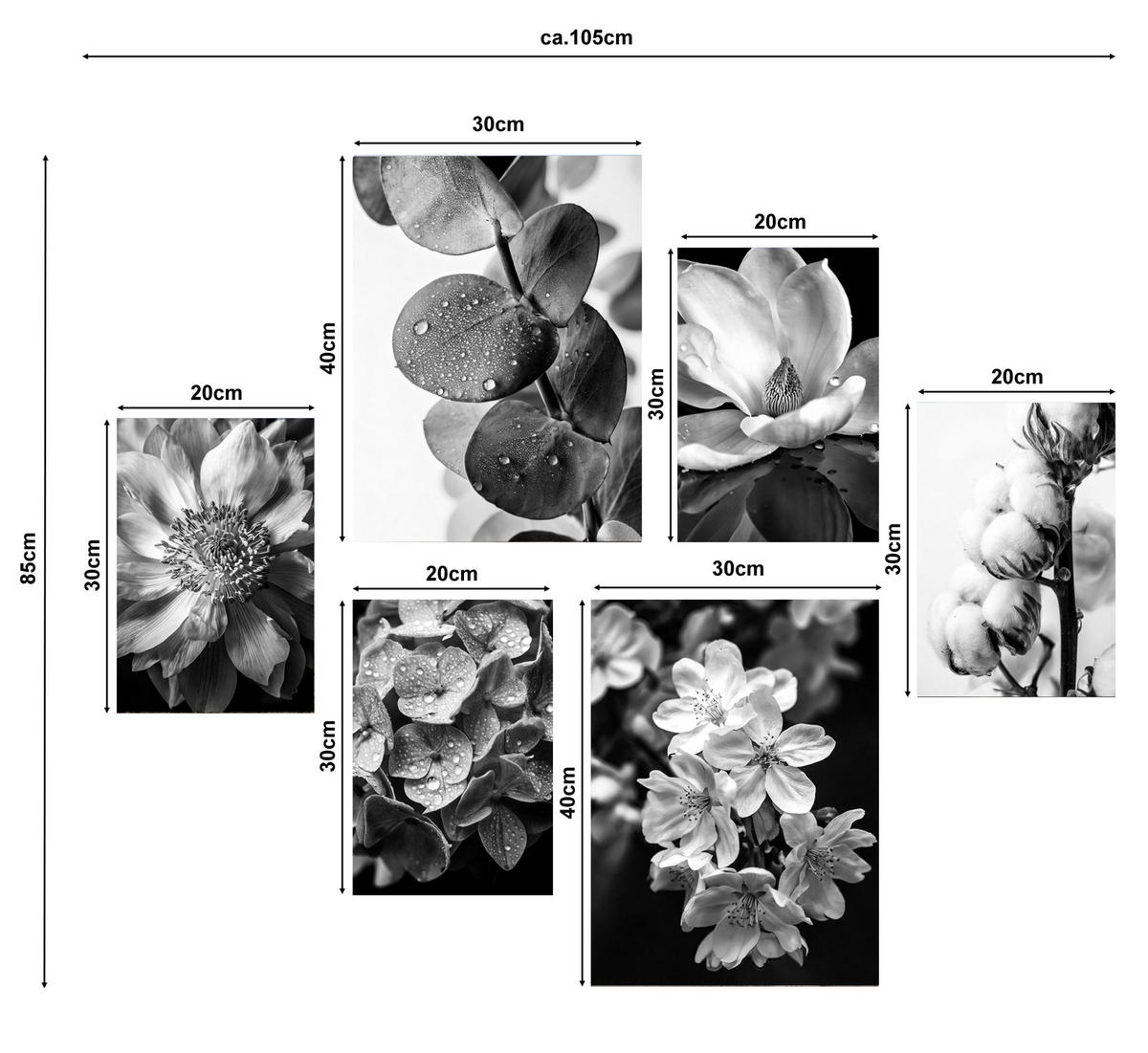BILDERSET 6er-Set 30x40 cm + 20x30cm Blumen schwarz weiß - Weiß, Kunststoff (105/85cm) - artissimo