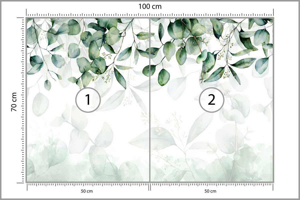 FOTOTAPETE Eukalyptus Blätter Pflanzen Natur 100x70 - Weiß/Grün, Papier (100/70cm) - Muralo