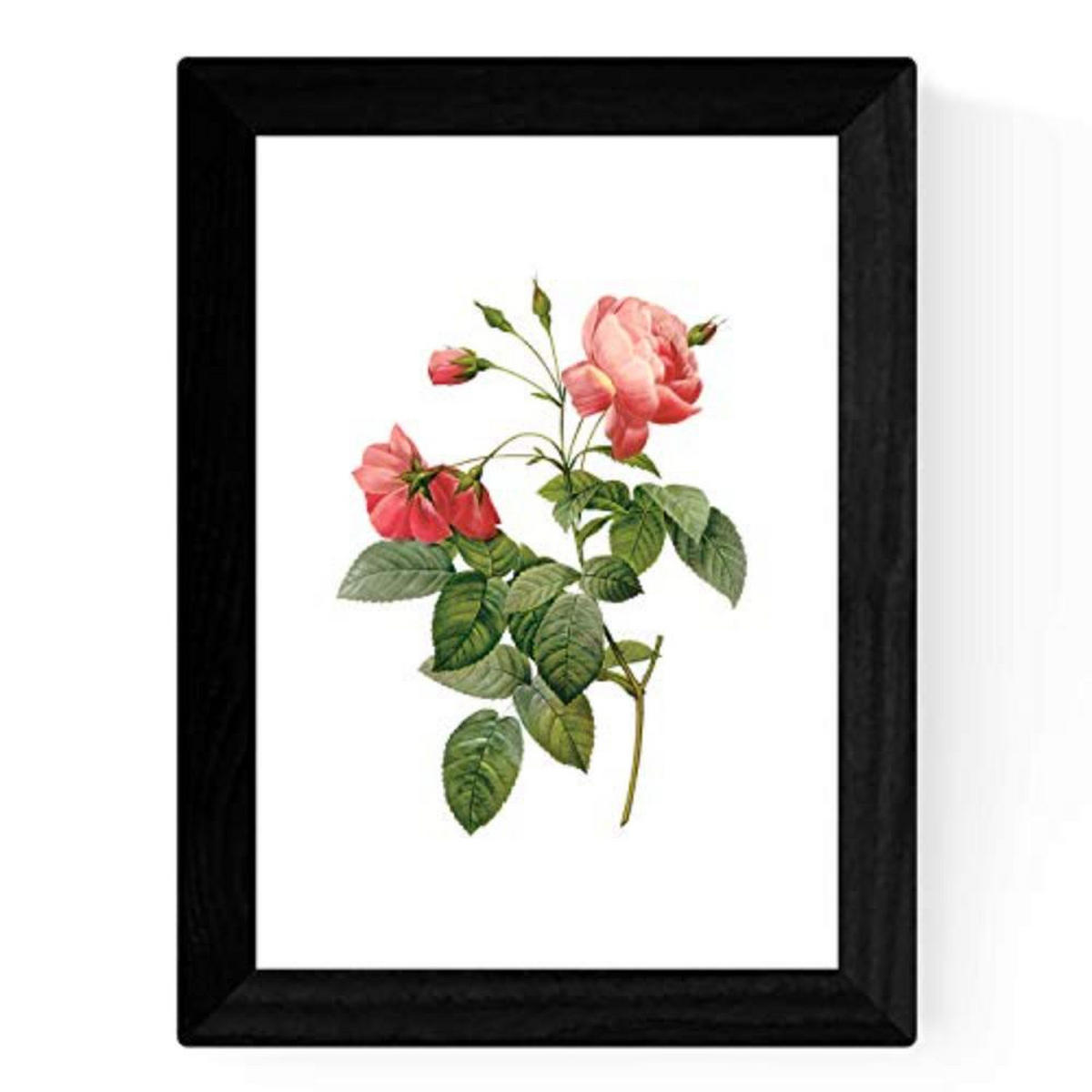 POSTER Set mit 4 Botanische Weiß Hintergrund Rosa Blumen A3 Rahmenlos - Klar, Papier (29.7/3cm) - Nacnic