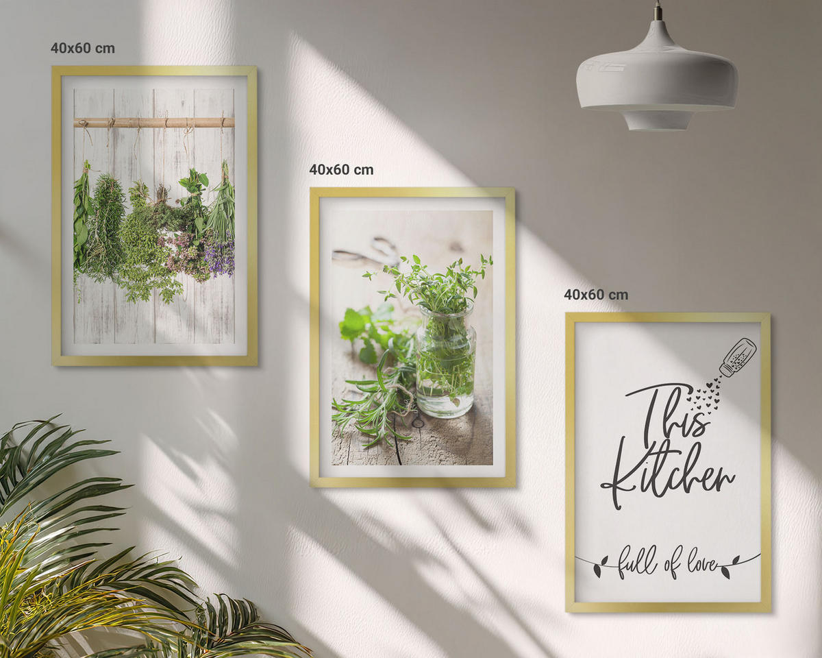 WANDBILDER 3er Set - 40x60 cm Goldrahmen - Küchenthema: Getrocknete Kräuter - Goldfarben, Kunststoff (40/60cm) - ArtPrintCave