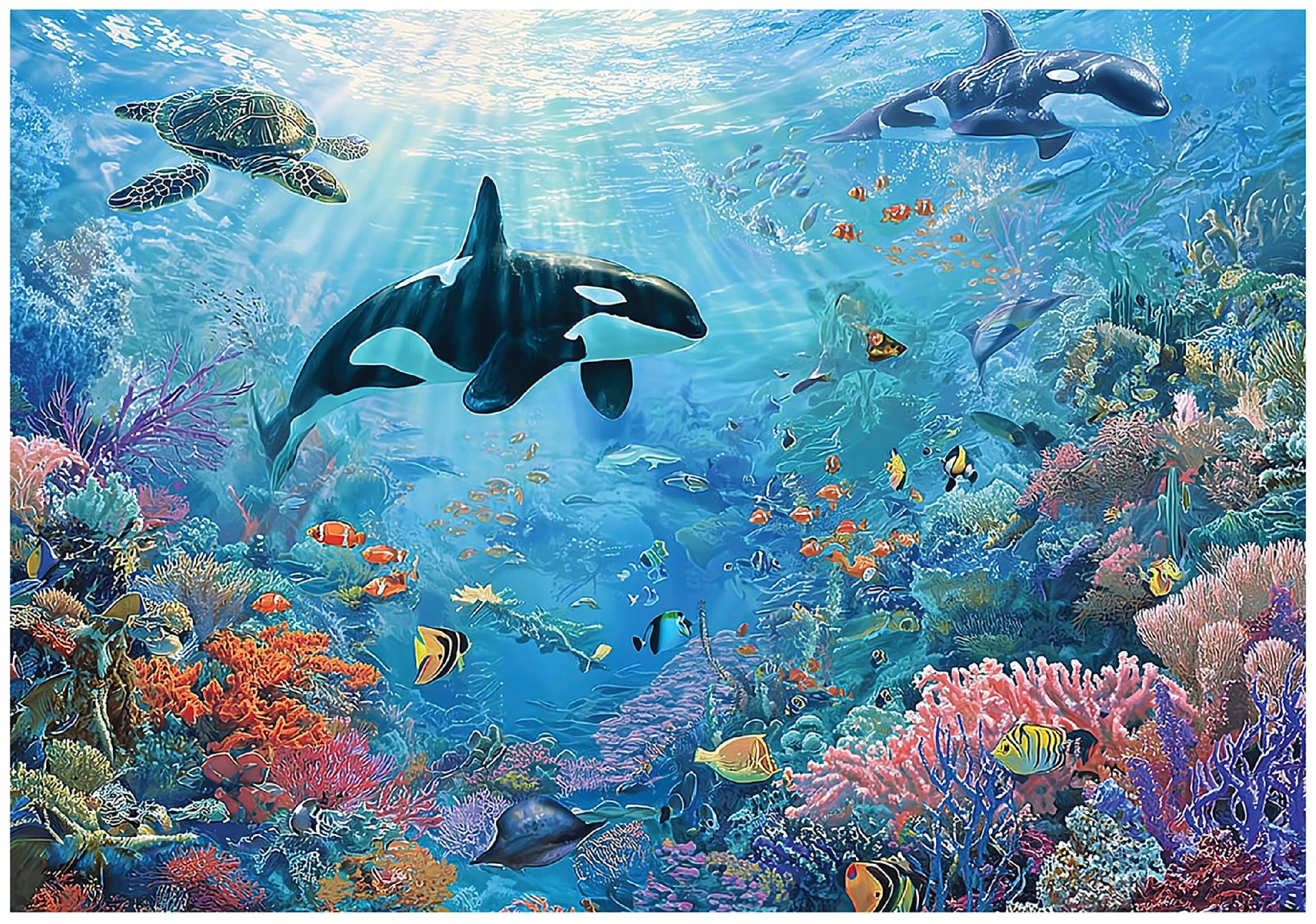 FOTOTAPETE Ozean Korallenriff Blau 400x280 cm - Multicolor, Papier (400/280cm) - Wallarena