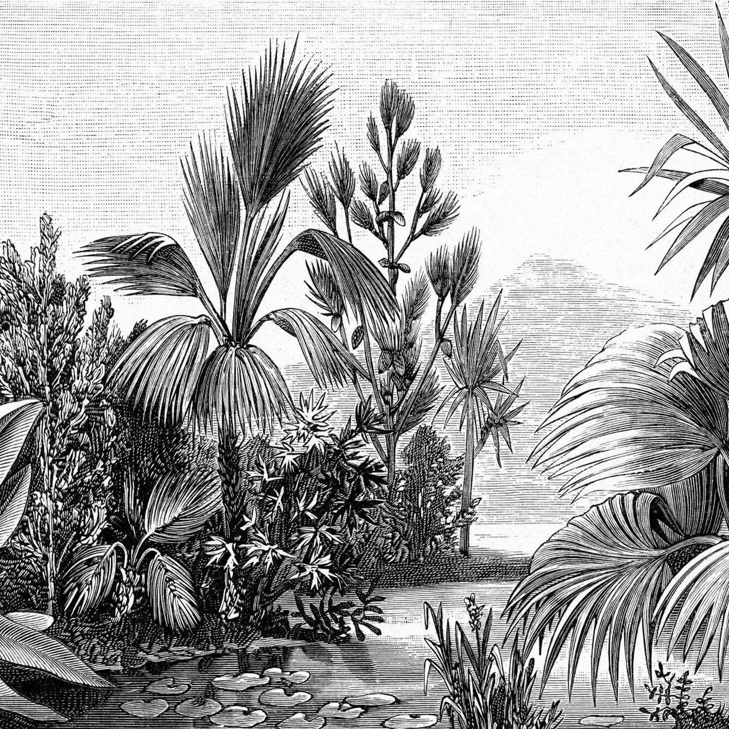 FOTOTAPETE tropische Landschaft 400 x 279 cm - Schwarz, Papier (400/279cm) - ESTAhome