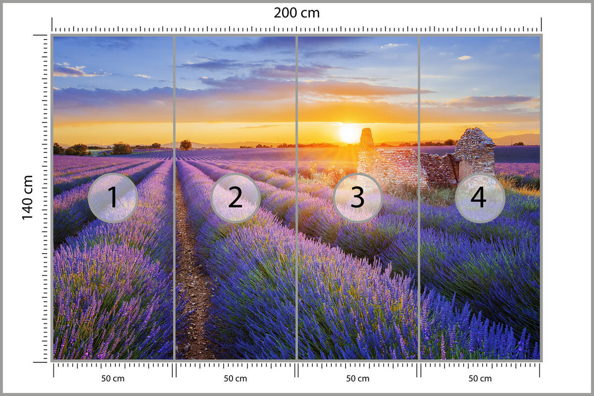 FOTOTAPETE für Wohnzimmer Lavendelfeld Sonnenuntergang Lila 200x140 - Violett/Rosa, Papier (200/140cm) - Muralo
