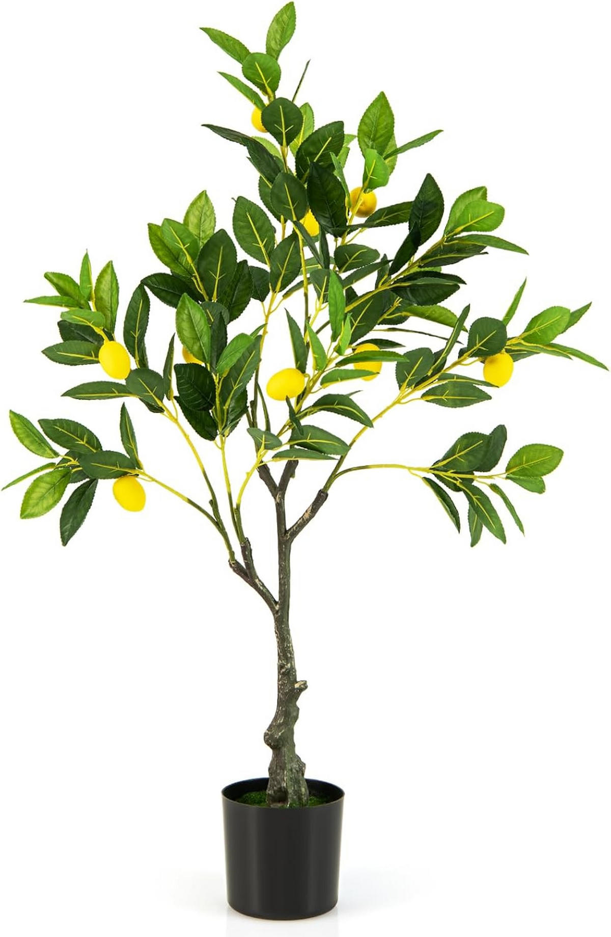 ZITRONENBAUM Grün - Grün, Kunststoff (80cm) - COSTWAY