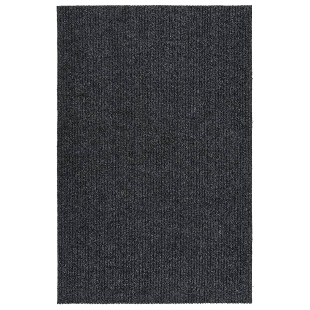 vidaXL Schmutzfangmatte Anthrazit 100x150 cm