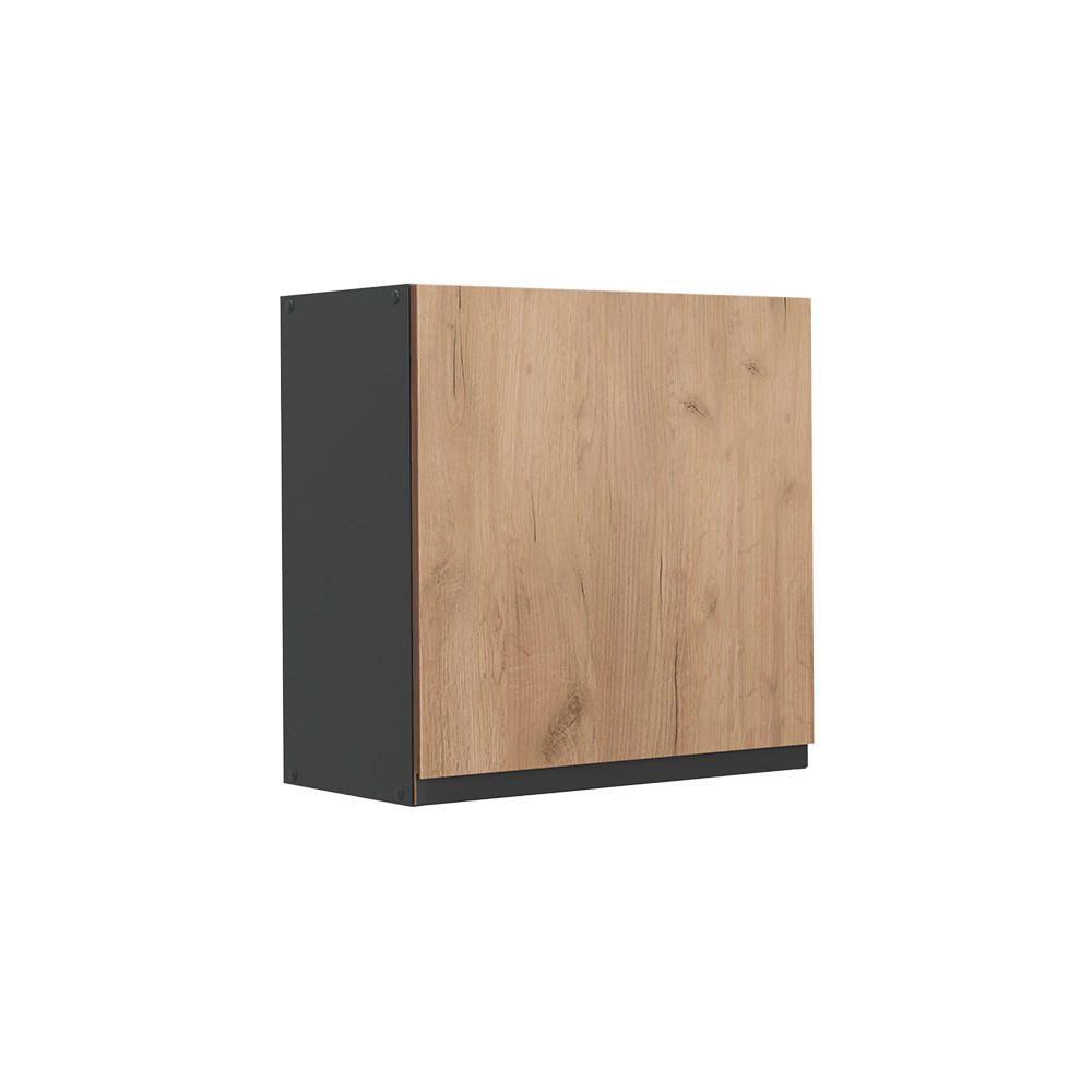 HÄNGESCHRANK R-Line, Goldkraft Eiche/Anthrazit, 60 cm mit 1 Tür - Honigeiche/Anthrazit, Holzwerkstoff (60/60/31cm) - Vicco