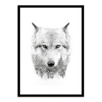 POSTER mit Rahmen 50x70 cm Wolf Schwarz-Weiß - Weiß, Holz (51/71cm) - artissimo