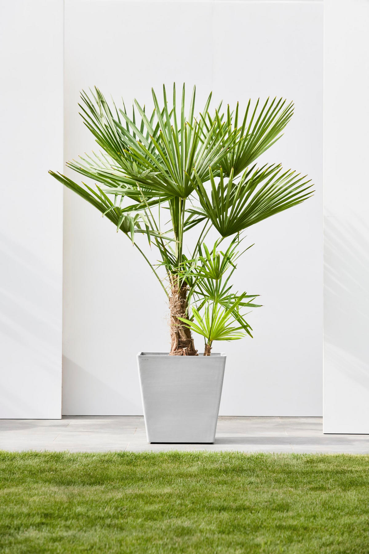 BLUMENTOPF Rotterdam Wheels 50,2/50,2/49,5 cm Hellgrau - Hellgrau, Kunststoff (50.2/49.5cm) - Ecopots