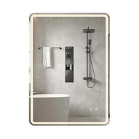 BADSPIEGEL mit LED Beleuchtung silber - Silberfarben, Glas (60/80/3cm) - COSTWAY