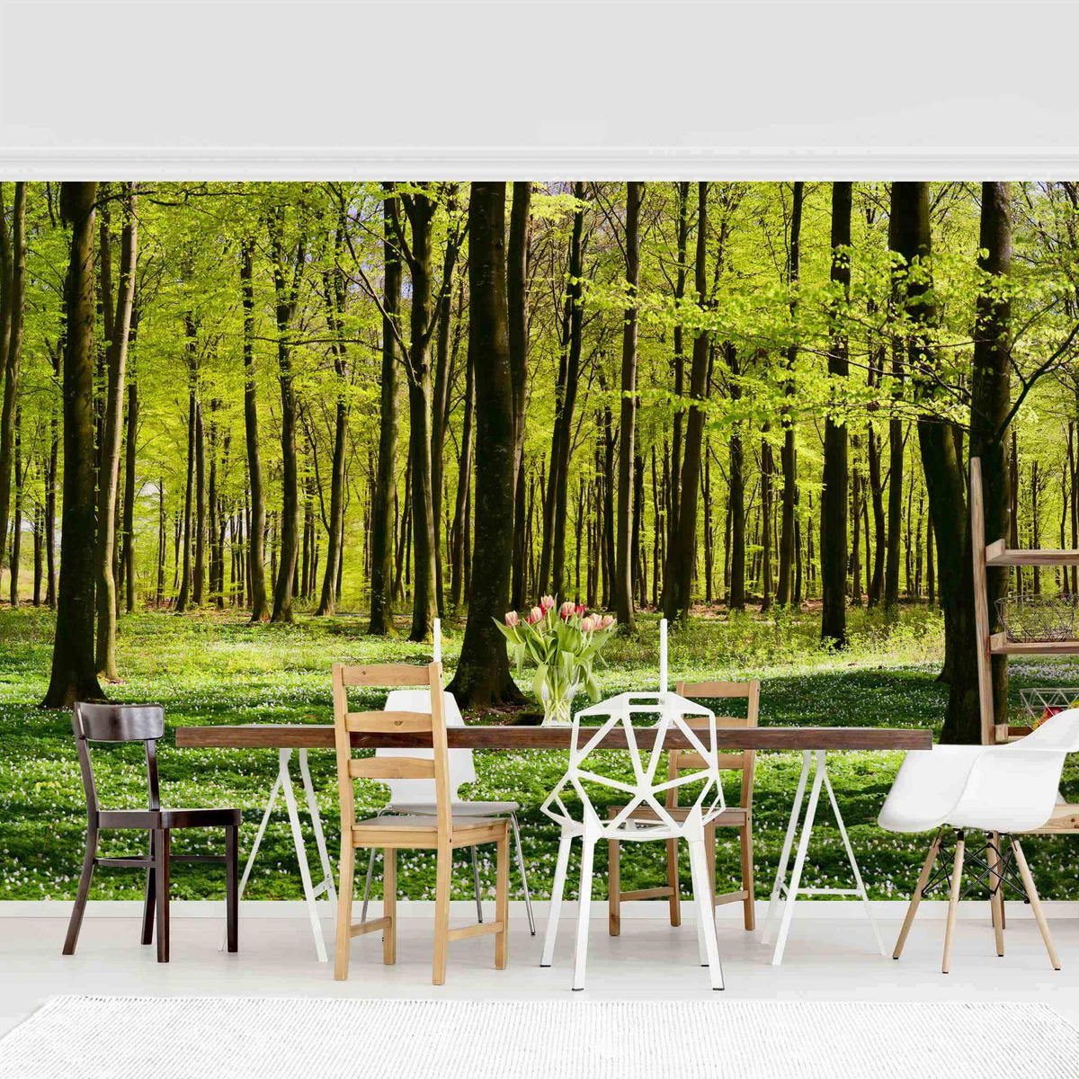 FOTOTAPETE Waldwiese 432/290 cm - Grün, Papier (432/290cm) - Bilderwelten