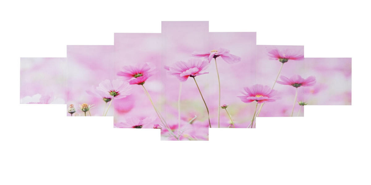 LEINWANDBILD BLUMEN 7-TLG. Multicolor - Multicolor, Holz (140/50cm) - Jamb
