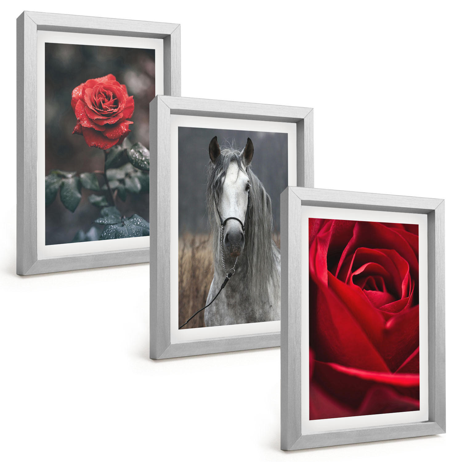 BILDER SET 3er Set - 20x30 cm Silberner Rahmen - Rote Rosen, Pferdegrau, Welt - Silberfarben, Kunststoff (20/30cm) - TULUP