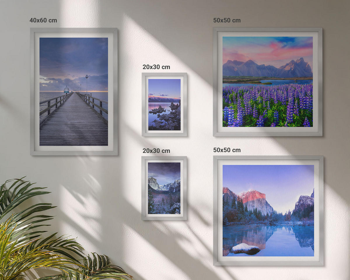 WANDBILDER 5er Set - 50x50 cm & 20x30 cm & 40x60 cm Silberner Rahmen - Berglandschaften, Wasser, Blumenfeld - Silberfarben, Kunststoff (40/60cm) - ArtPrintCave