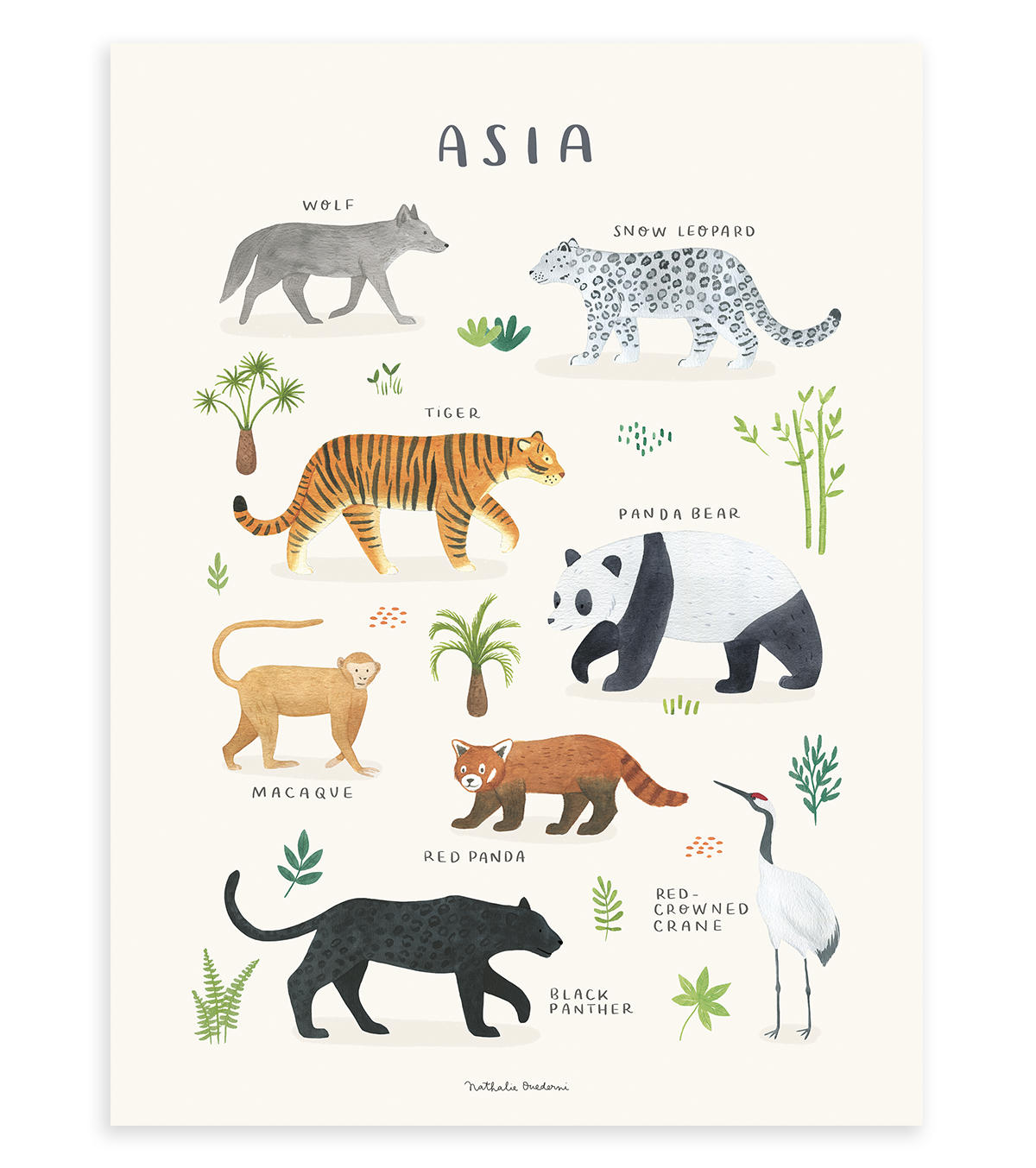 POSTER Tiere aus Asien, 30x40 cm - Beige/Multicolor, Papier (30/1/40cm) - Lilipinso