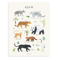 POSTER Tiere aus Asien, 30x40 cm - Beige/Multicolor, Papier (30/1/40cm) - Lilipinso