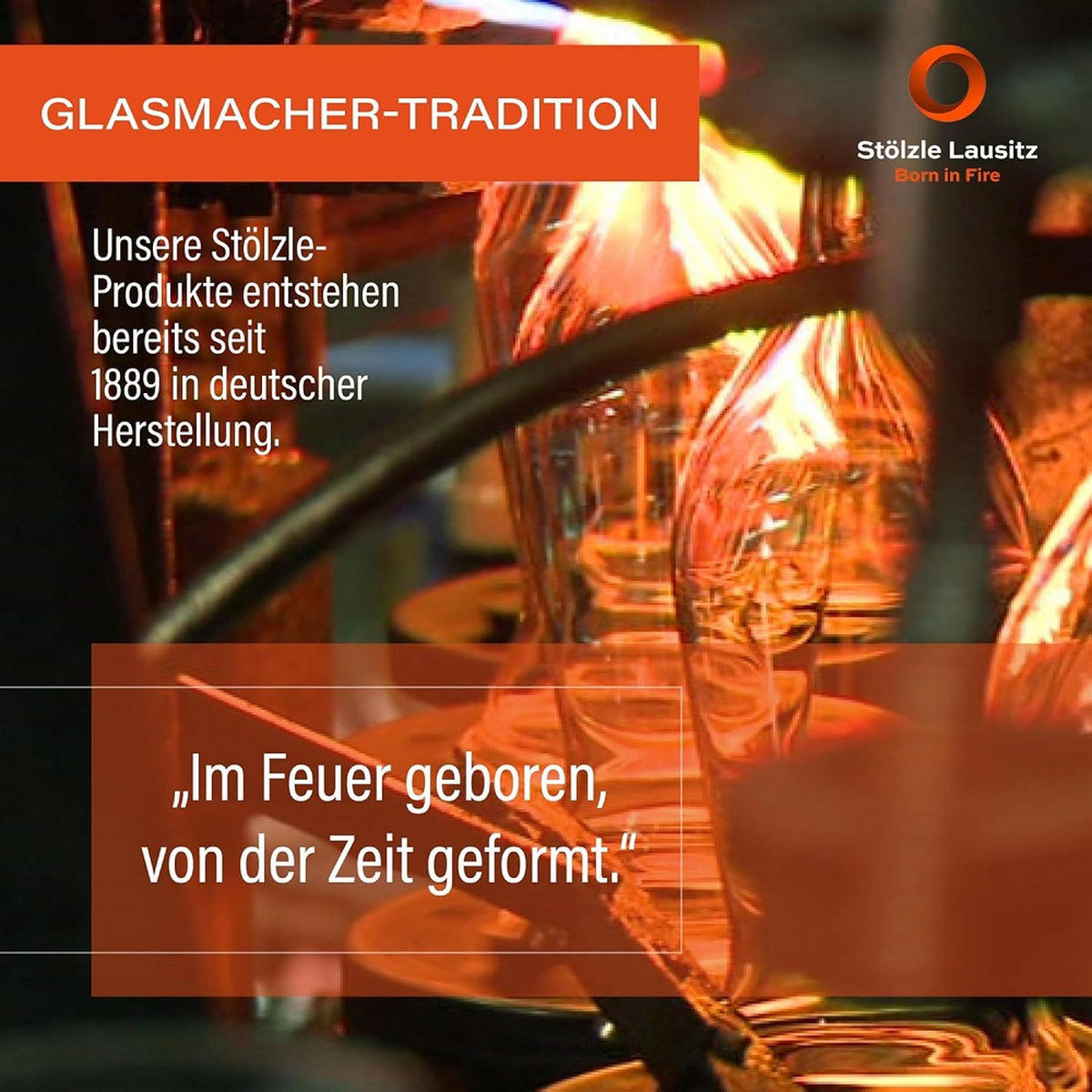GRANDEZZA Cocktailschale 6er Set - Transparent, Glas (0.24L) - Stölzle