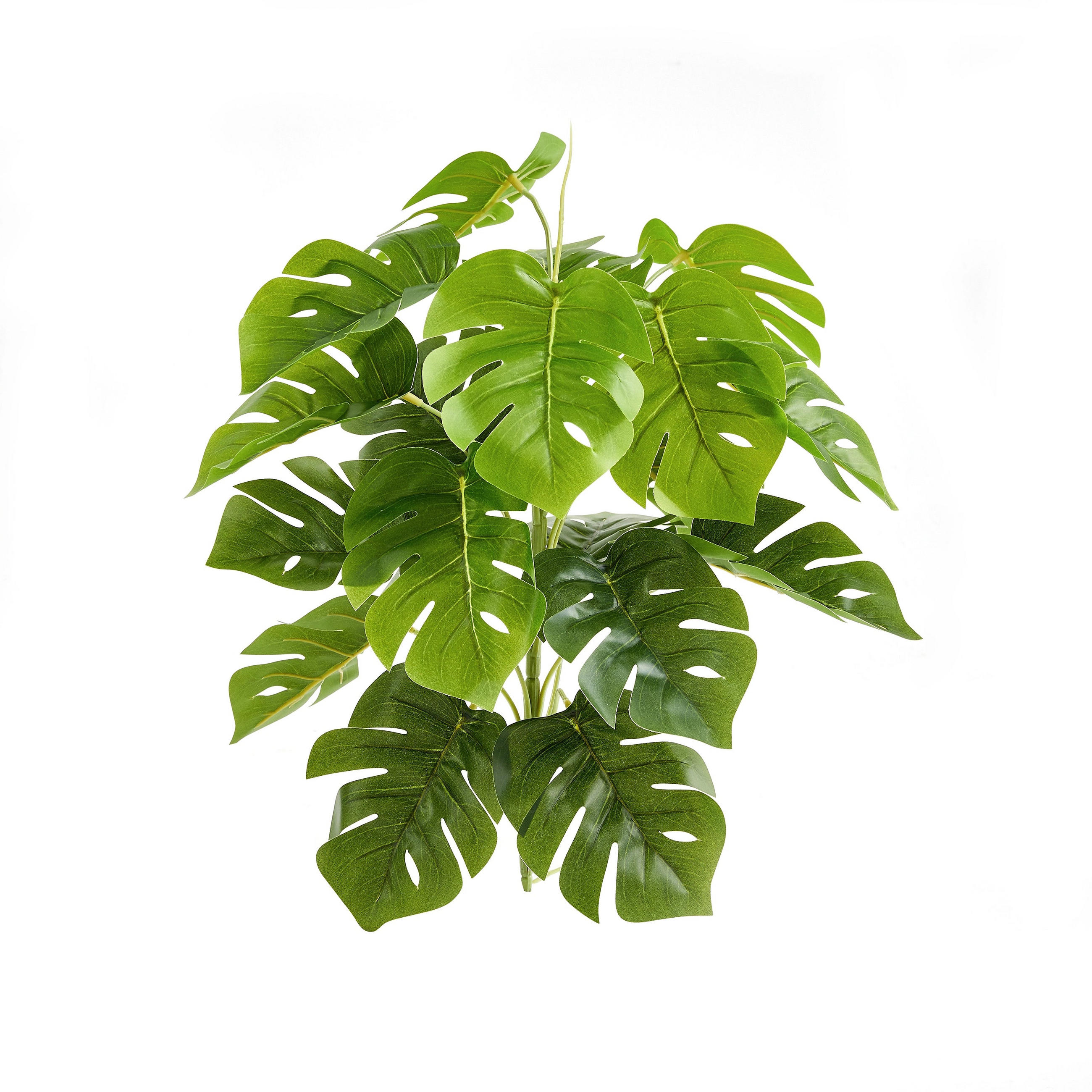KUNSTPFLANZE Künstlicher Monstera – Alenia 50 cm - Grün, Kunststoff (50cm) - aplanta