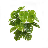 KUNSTPFLANZE Künstlicher Monstera – Alenia 50 cm - Grün, Kunststoff (50cm) - aplanta