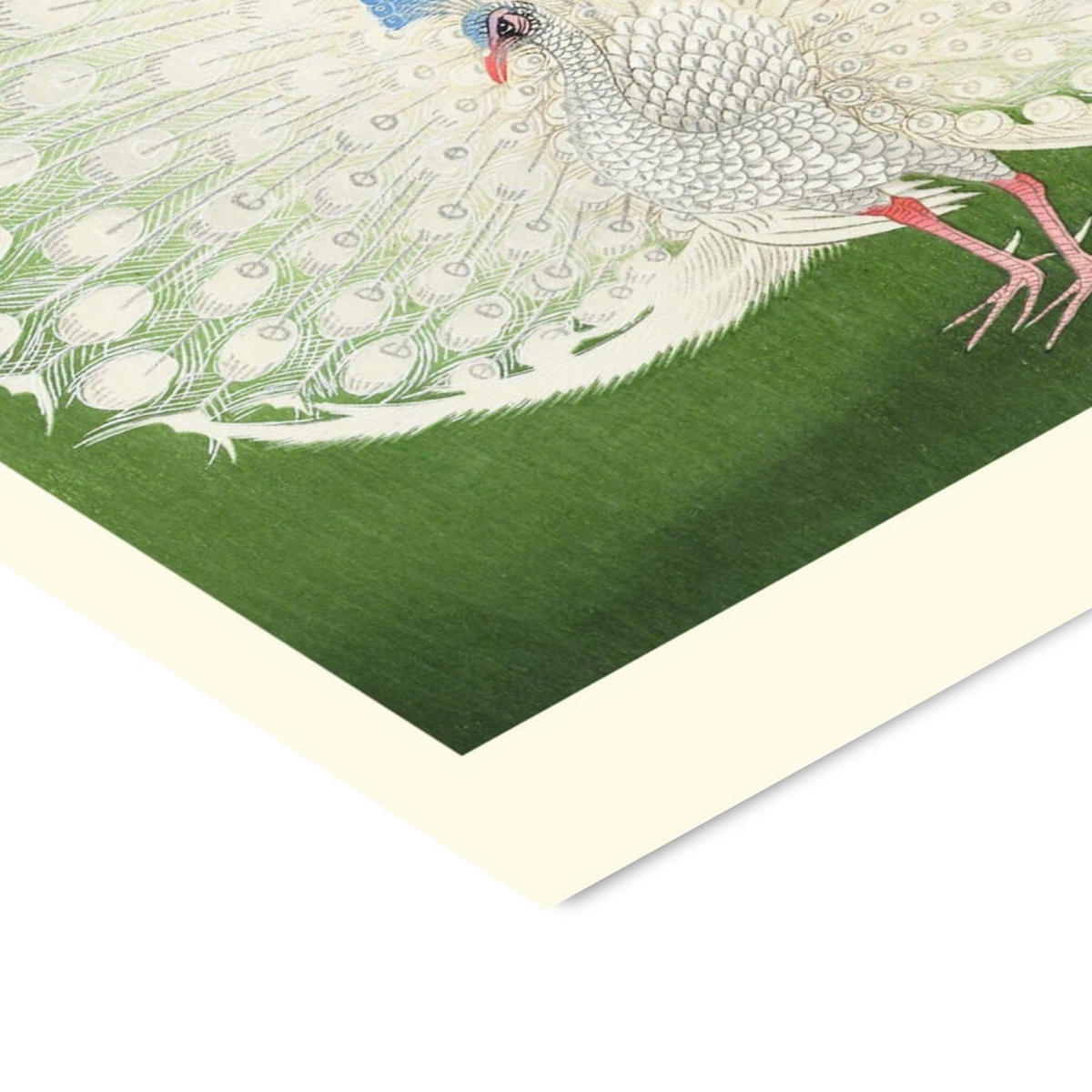 POSTER A.P. Atelier - Peacock - Grün, Papier (50/70/0.1cm) - Poster&Frame