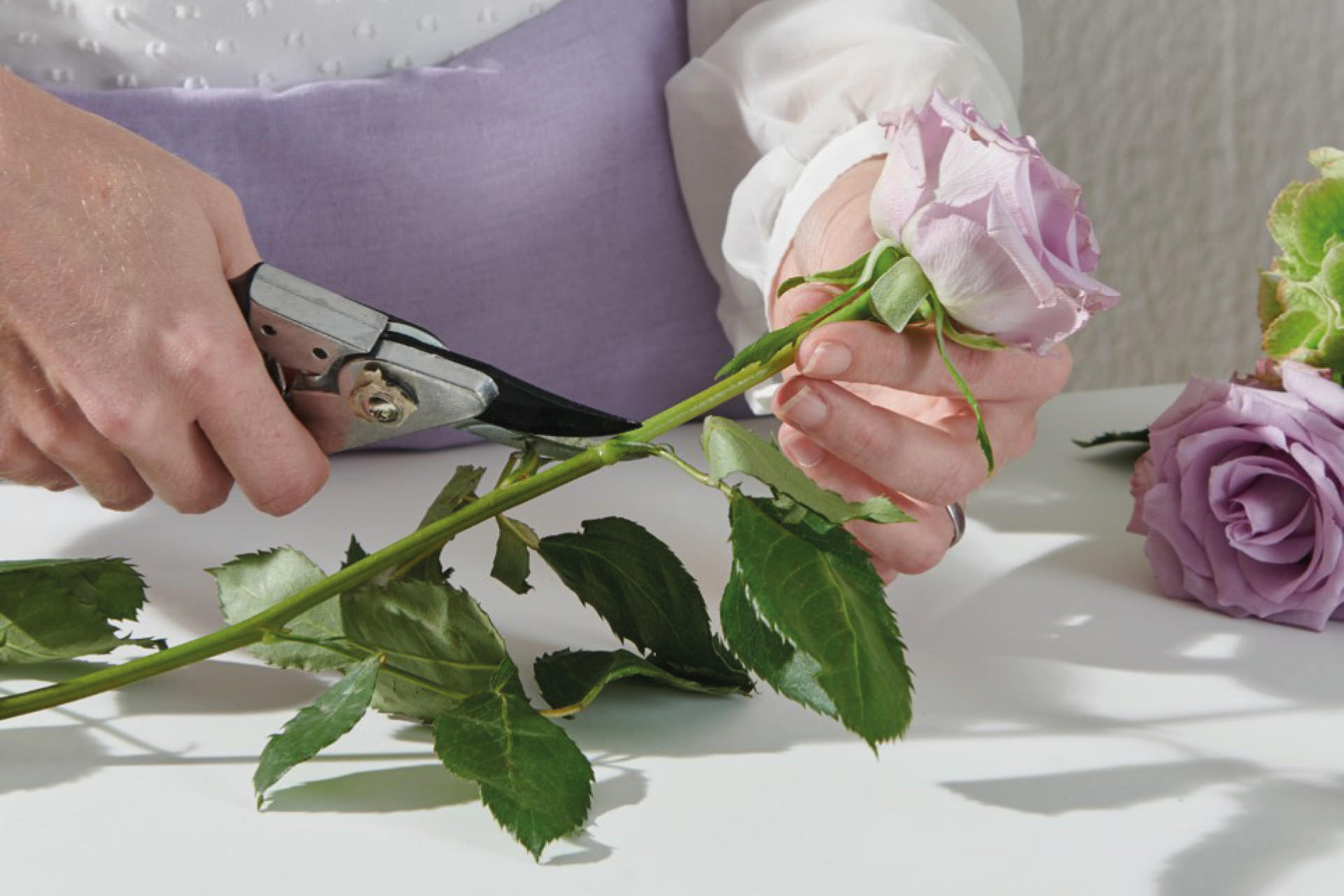 Blumen kÃ¼rzen