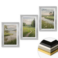 WANDBILDER 3er Set - 20x30 cm Silberner Rahmen - Sommerliche Flusswiesen voller Blumen - Silberfarben, Kunststoff (20/30cm) - ArtPrintCave