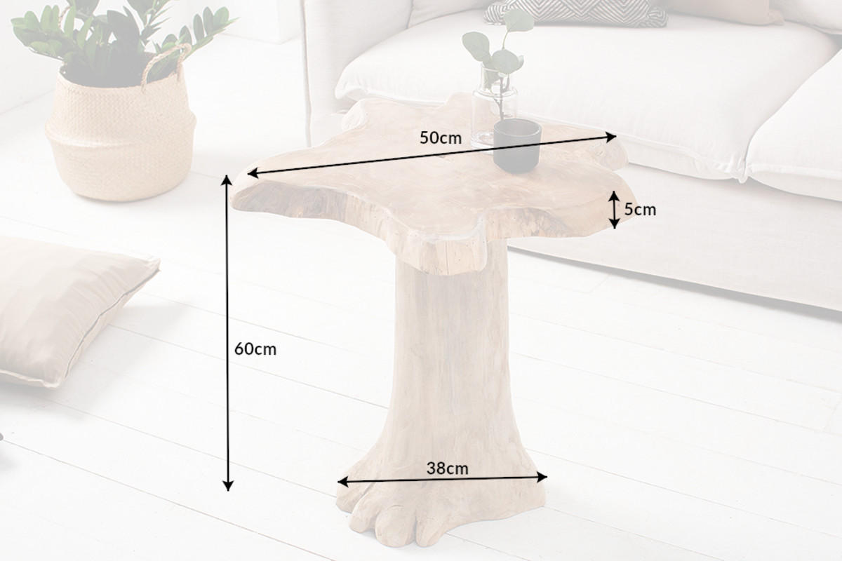COUCHTISCH ROOT Teakholz rechteckig Natur 50cm - Braun, Holz (50/50/60cm) - riess-ambiente