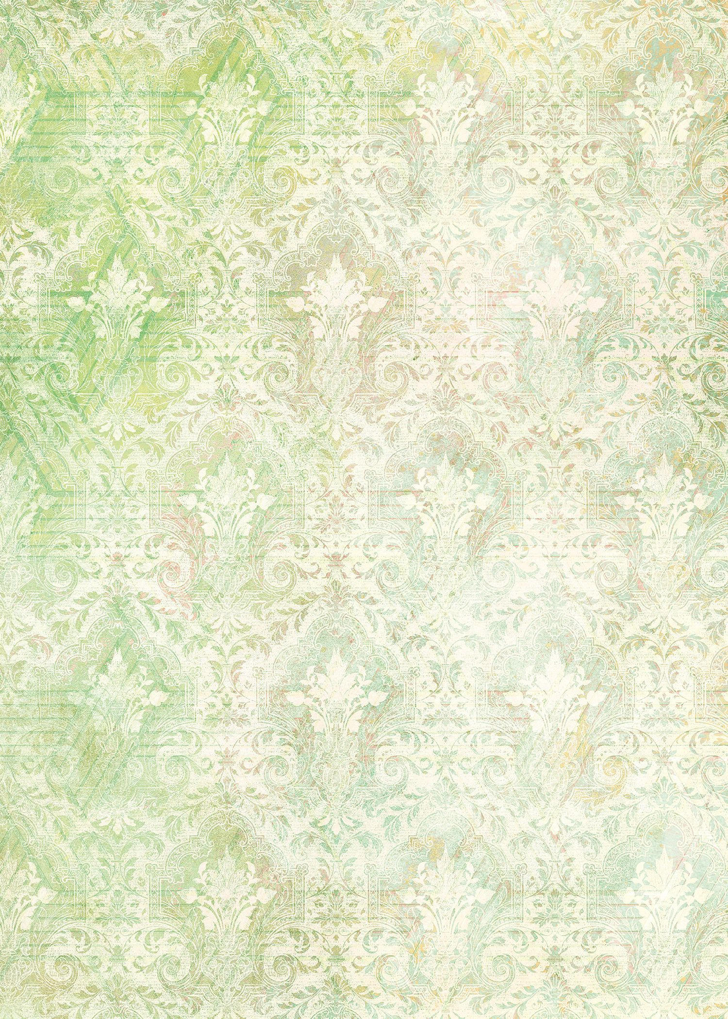 FOTOTAPETE Schönheit 200 x 280 cm - Grün, Papier (200/280cm) - Sanders & Sanders