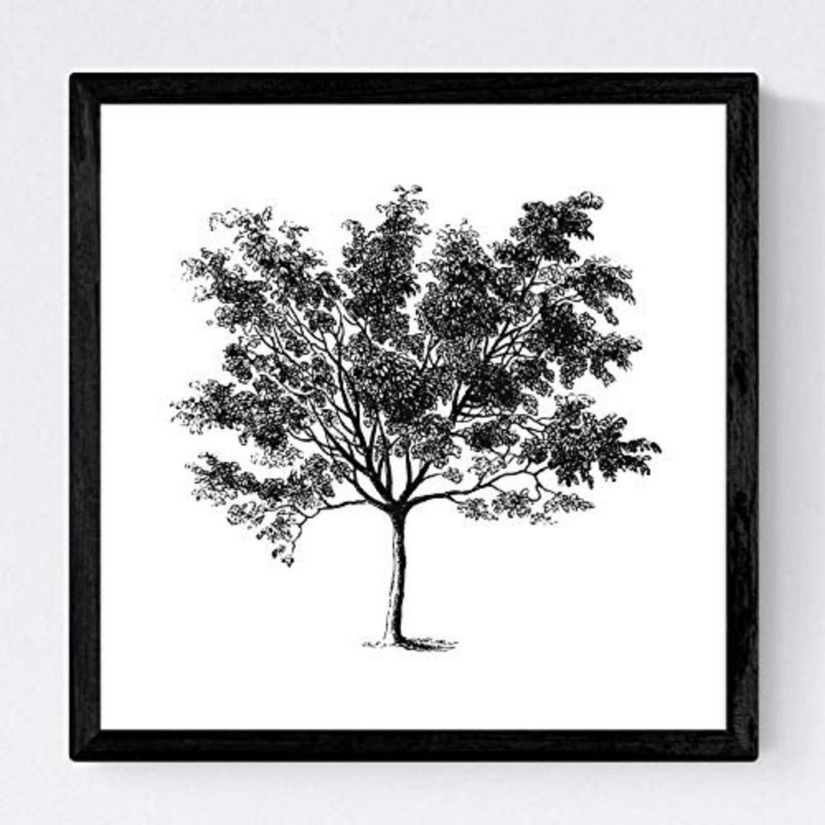 POSTER Set mit 4 Blättern der Bäume mittlerer weiß 20x20cm Schwarzer Rahmen - Schwarz, Papier (20/3cm) - Nacnic
