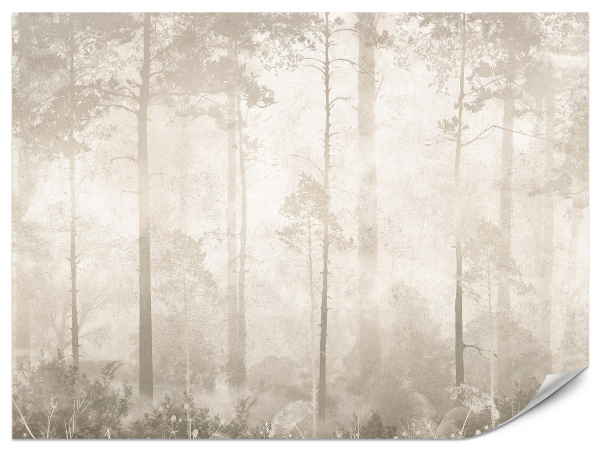 FOTOTAPETE für Wohnzimmer Nebliger Wald Vintage Bäume 350x256 - Beige/Braun, Papier (350/256cm) - Muralo