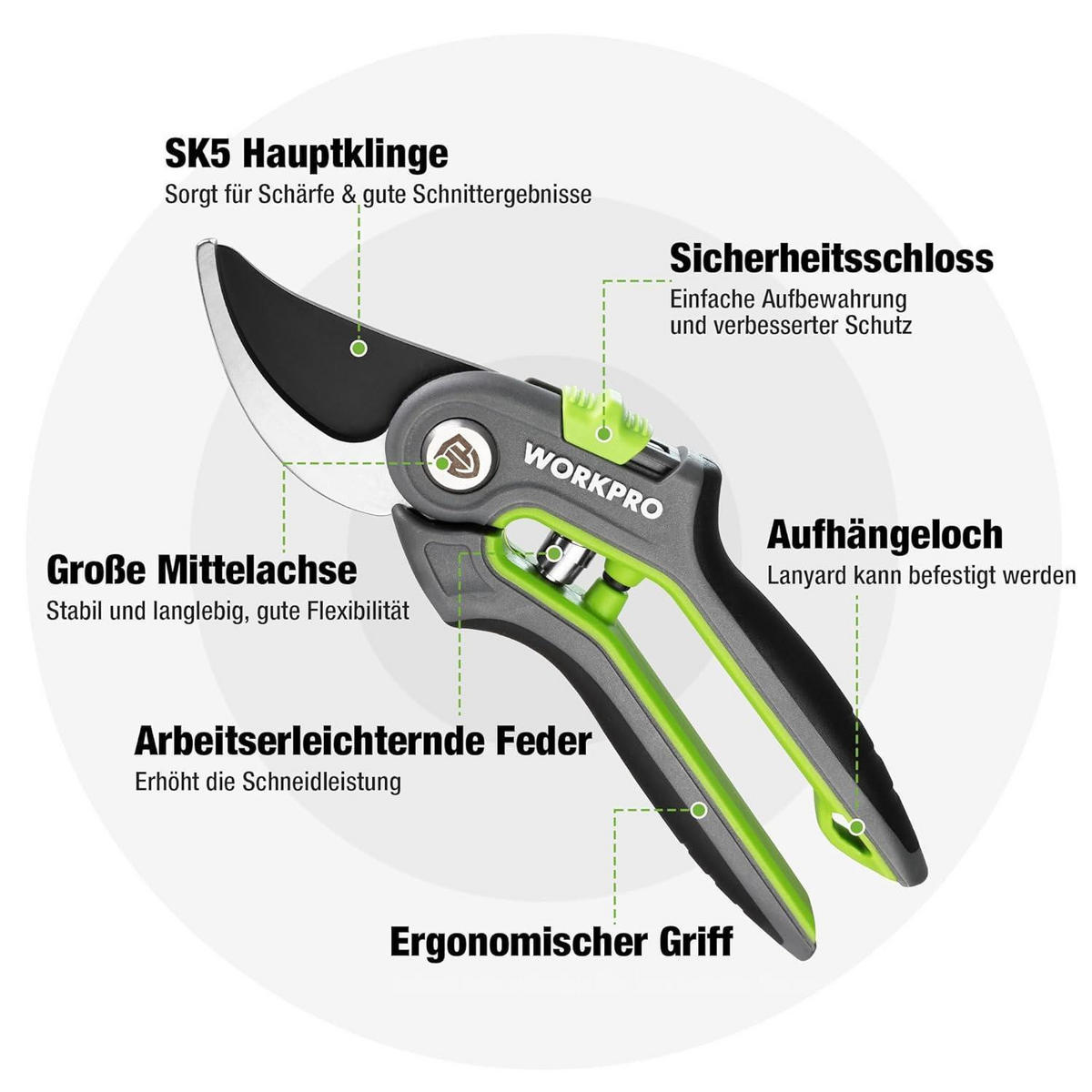 GARTENSCHERE 2-teiliges Set SK5 Bypass Astschere 210mm Ernteschere 160mm - Multicolor, Metall (5/8/25cm)