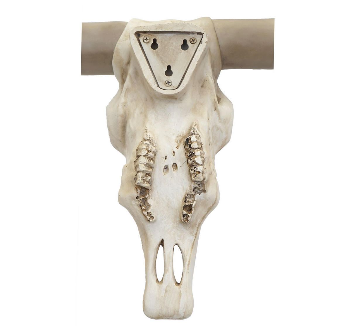 DEKO KUHSCHÄDEL Beige - Beige, Stein (103/43/11cm) - MCW