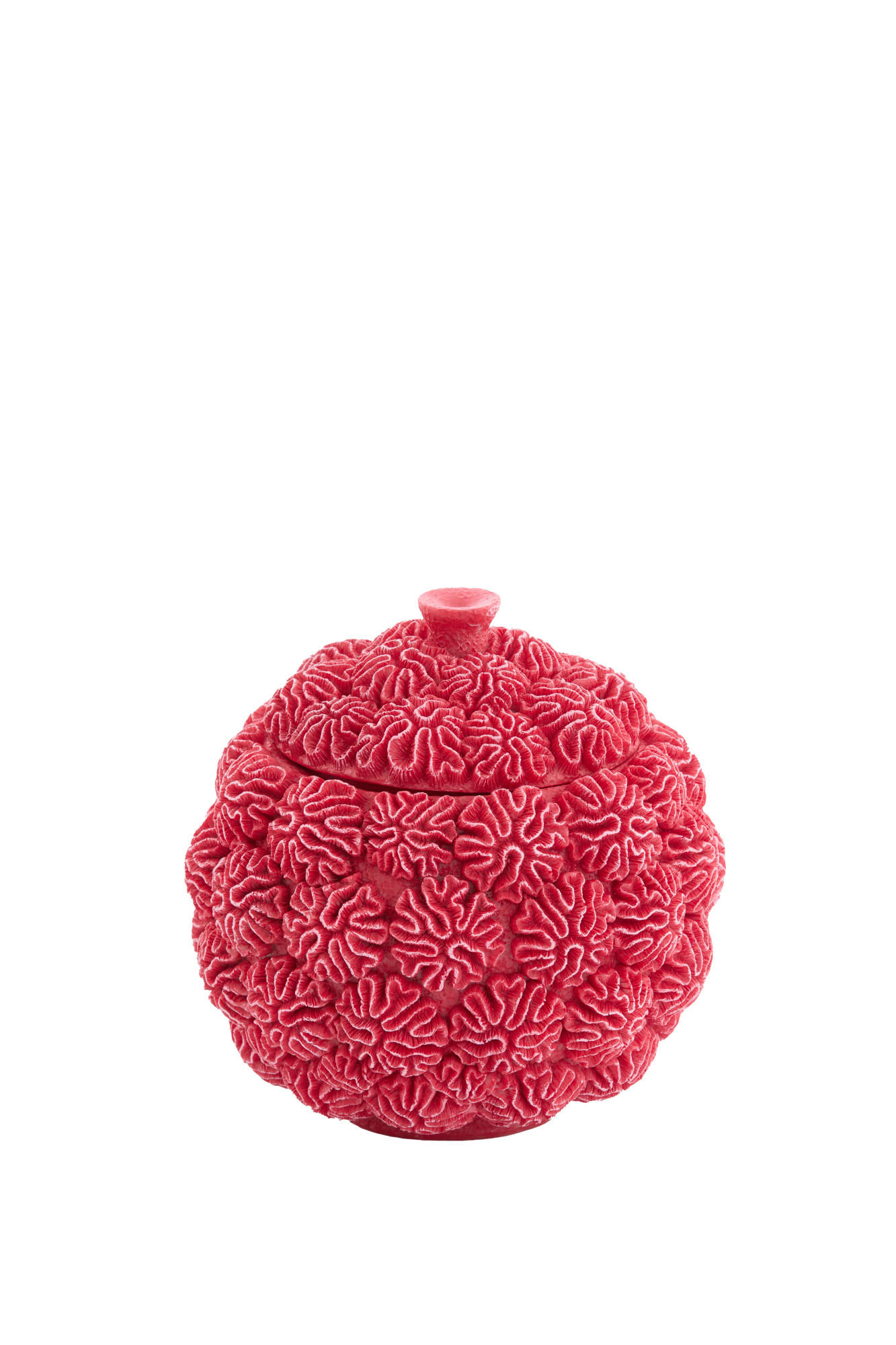 DEKO-DOSE Coral Rot Ø17/16 cm - Rot, Kunststoff (17/16/17cm) - Light & Living