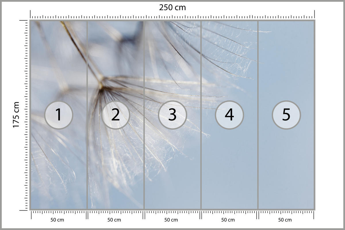 FOTOTAPETE für Schlafzimmer Zarte Löwenzahnblüten im Wind 250x175 - Braun/Weiß, Papier (250/175cm) - Muralo