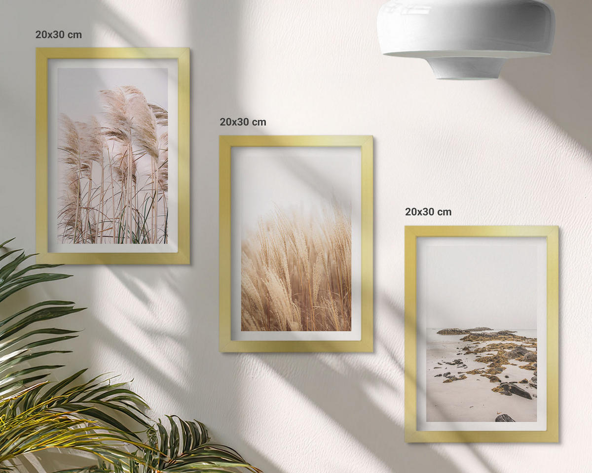 BILDER SET 3er Set - 20x30 cm Goldrahmen - Pampasgrasfelder und ein Boho-Strand - Goldfarben, Kunststoff (20/30cm) - TULUP