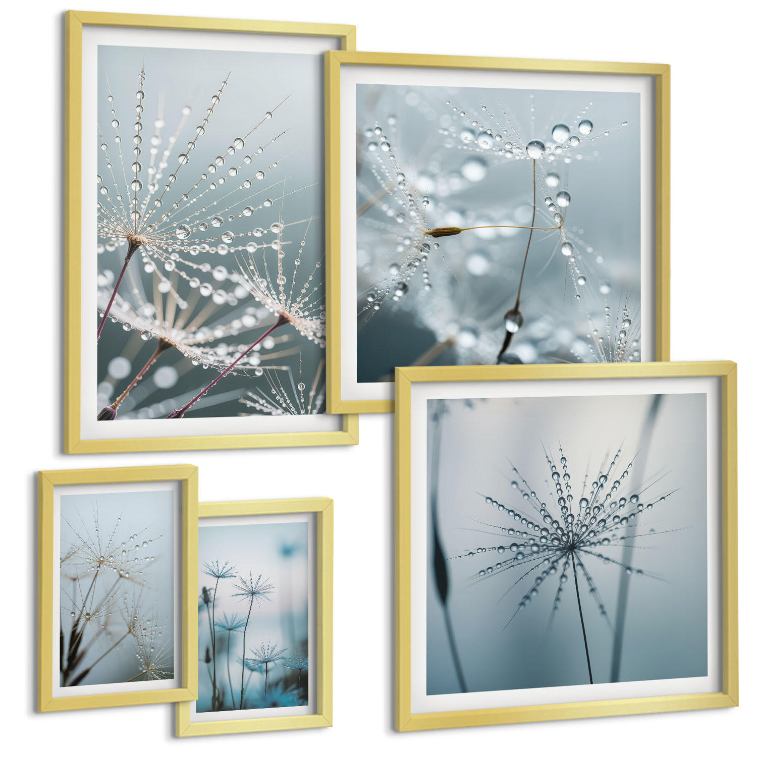 BILDER SET 5er Set - 50x50 cm & 20x30 cm & 40x60 cm Goldrahmen - Tautropfen auf Löwenzahn - Goldfarben, Kunststoff (40/60cm) - TULUP
