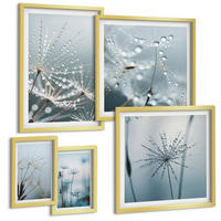 BILDER SET 5er Set - 50x50 cm & 20x30 cm & 40x60 cm Goldrahmen - Tautropfen auf Löwenzahn - Goldfarben, Kunststoff (40/60cm) - TULUP