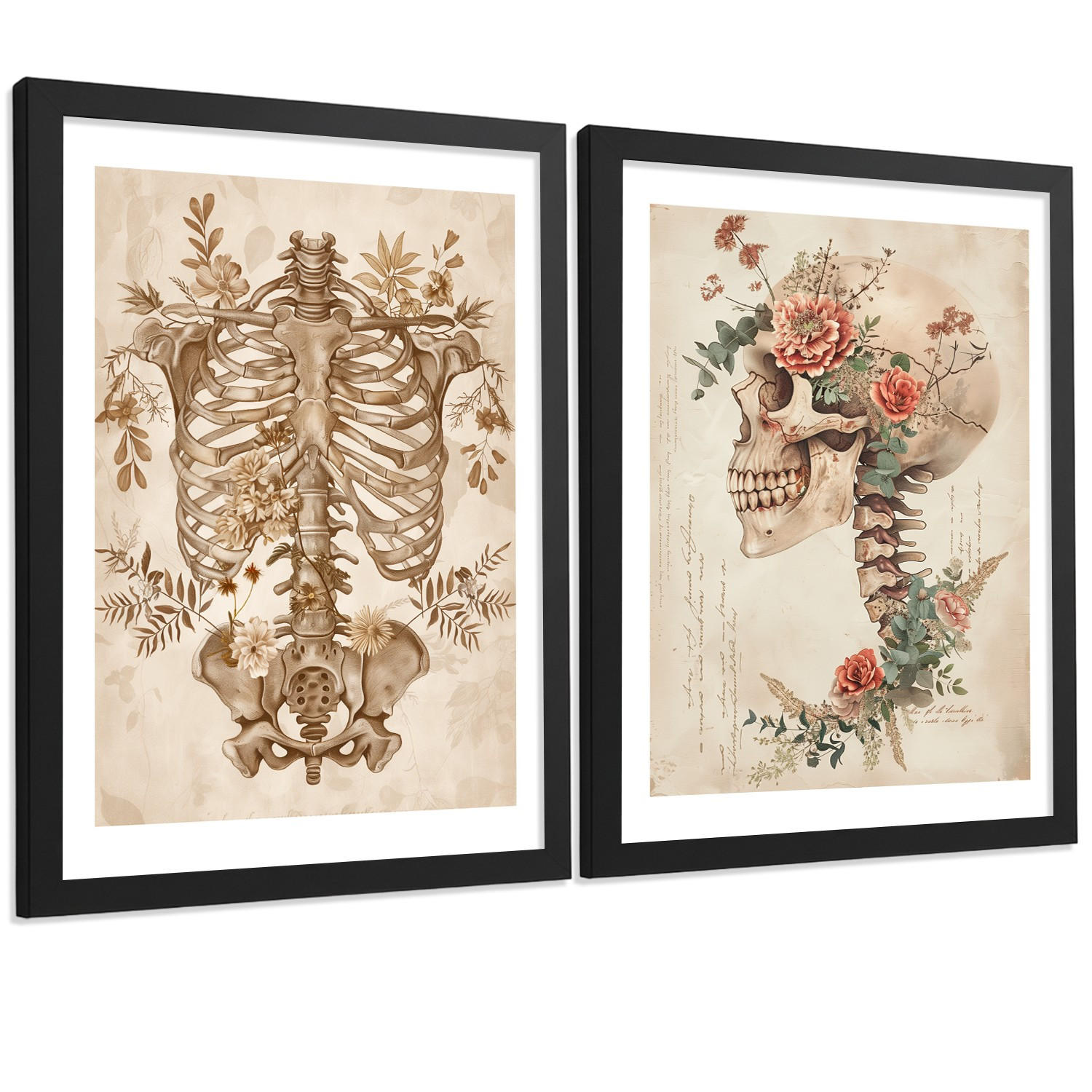POSTER Set aus 2 Anatomie Mensch Drucke und Wandbilder mit Skelett Schädel Wirbelsäule Rippen Becken Klassischer Stil Größe Schwarzer Rahmen A4 - Schwarz, Papier (21/29.7/3cm) - Nacnic