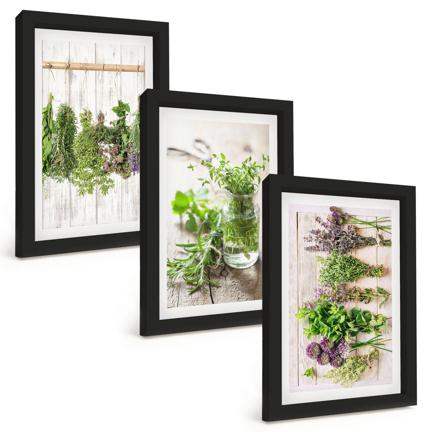 BILDER SET 3er Set - 20x30 cm Schwarzer Rahmen - Kräuterpflanzen für die Küche - Schwarz, Kunststoff (20/30cm) - TULUP