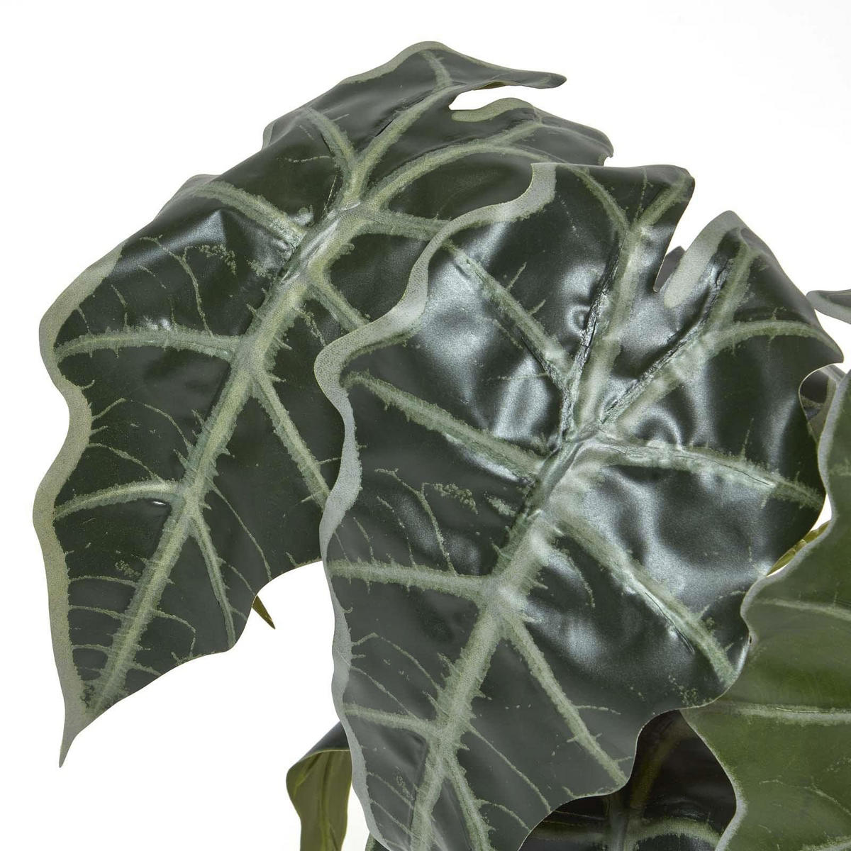 KUNSTPFLANZE Alocasia, 50 cm - Grün, Kunststoff (50cm) - Homescapes