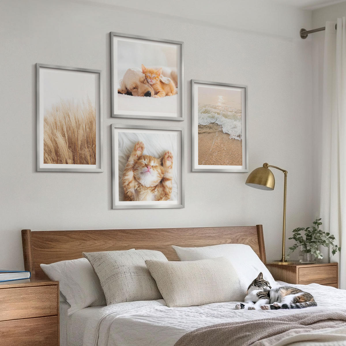 BILDER SET 4er Set - 50x50 cm & 40x60 cm Silberner Rahmen - Niedliche Tiere, Katzen, Hunde, Strand - Silberfarben, Kunststoff (50/50cm) - TULUP