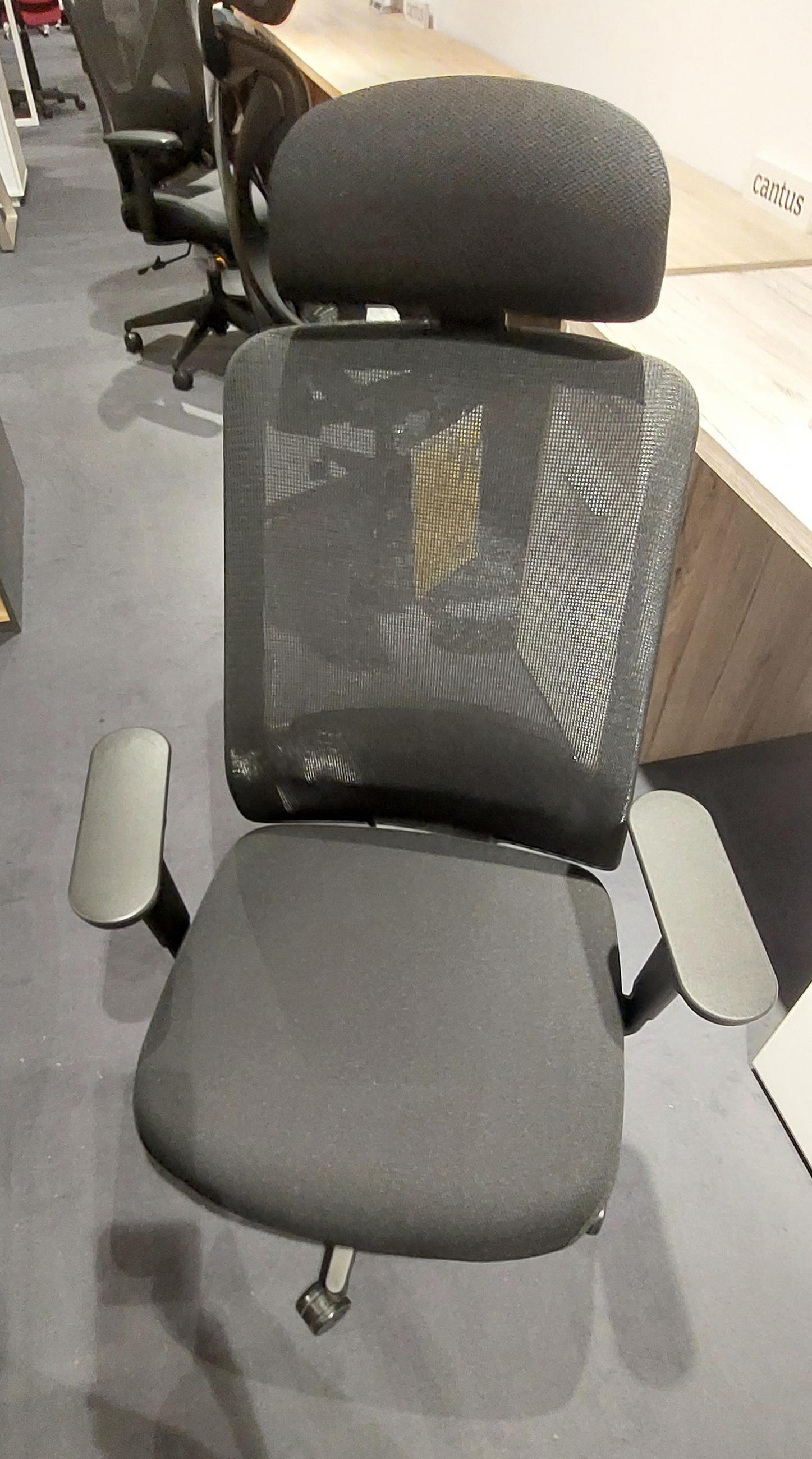 VRTLJIVI STOL BJARNE - Novel