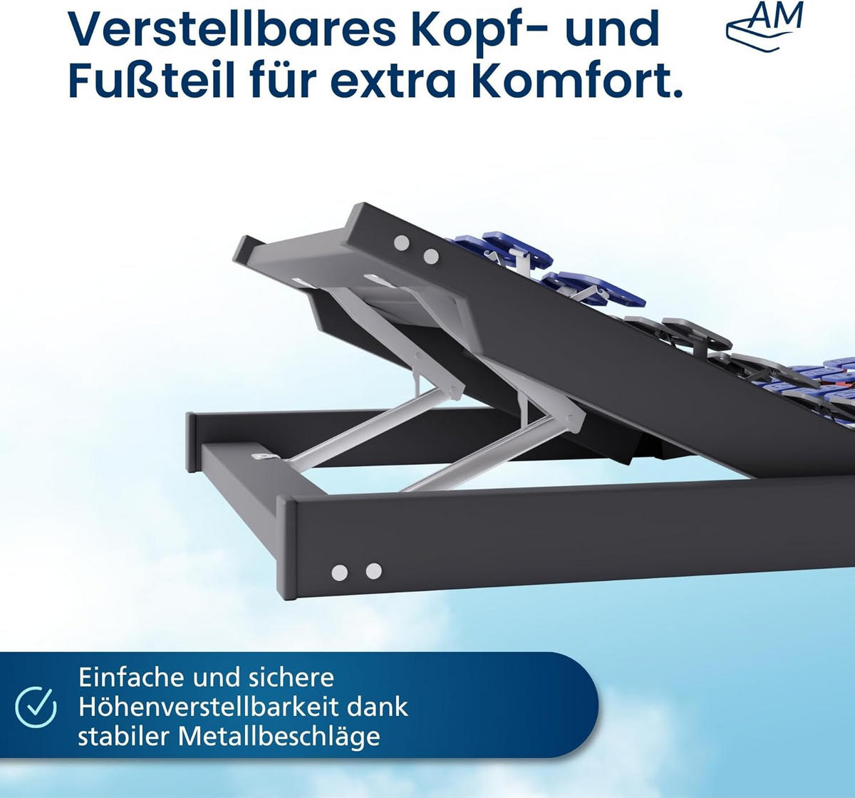 TELLERLATTENROST VERSTELLBAR 140/200 cm - Blau/Dunkelgrau, Holz (140/200cm) - AM Qualitätsmatratzen