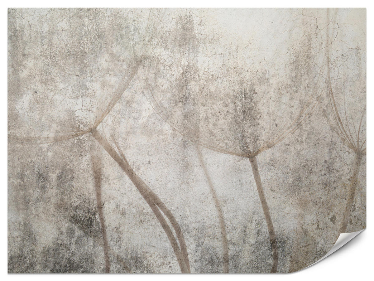 FOTOTAPETE für Wohnzimmer Zarter Skizze Löwenzahn Grauer Beton Minimalistisch 500x350 - Beige/Braun, Papier (500/350cm) - Muralo