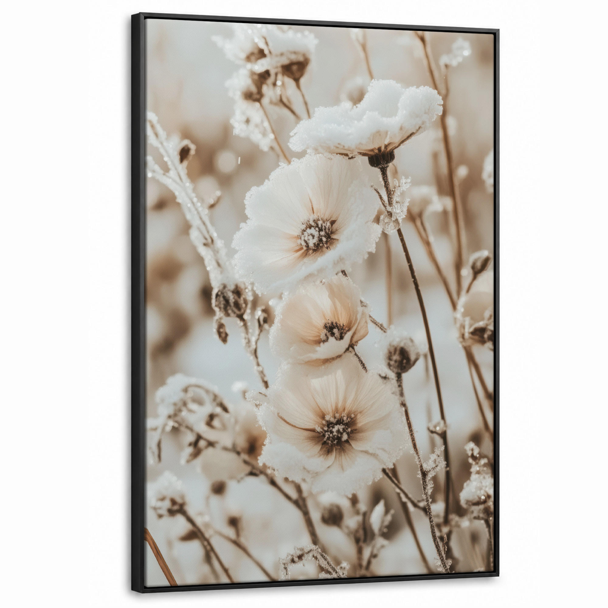 MuchoWow Leinwand Creme 100x150 cm