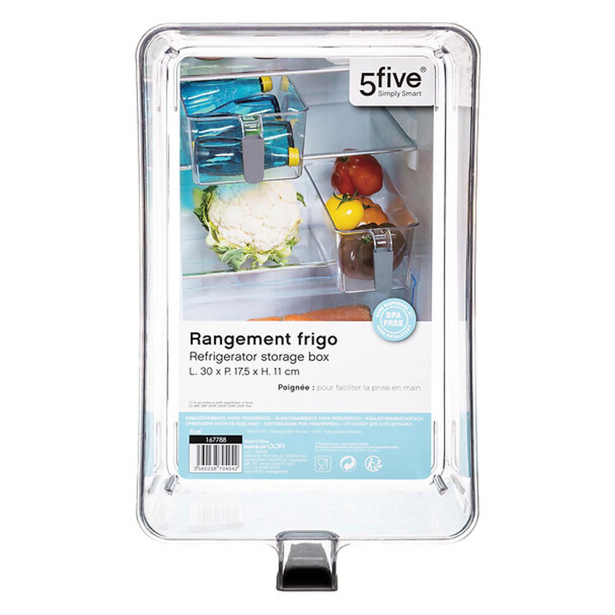 KÜHLSCHRANK-AUFBEWAHRUNGSBOX L mit Henkel, PET-Kunststoff, Gummi, Transparent - Transparent, Kunststoff (17.5/11/27.5cm) - 5five Simply Smart