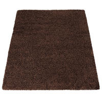 HOCHFLORTEPPICH 60/100 cm Sky 250 - Braun, Textil (60/100cm) - Paco Home