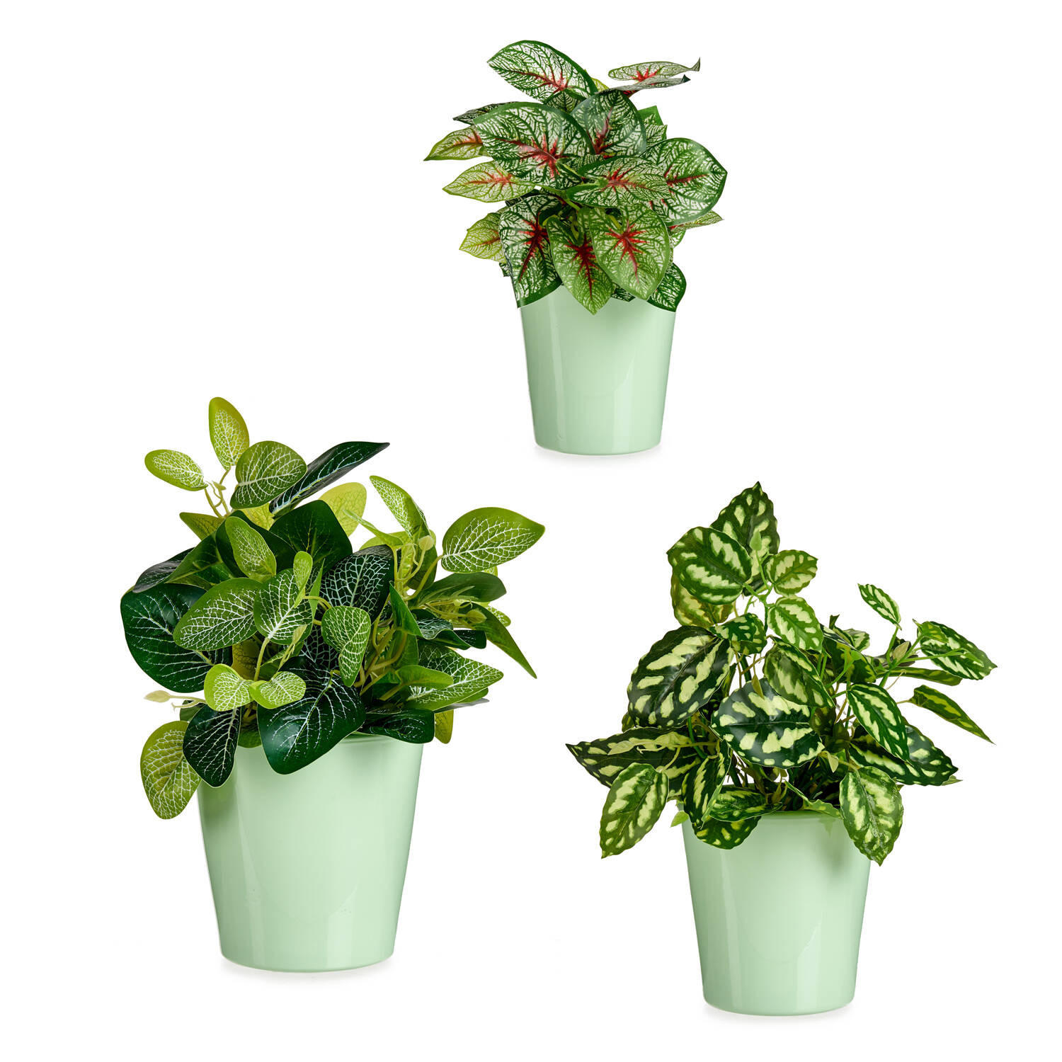 BLUMENTÖPFE Conical pastelfarben 3er-Set - Grün, Keramik (16.5/16cm)